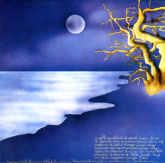 Forse Le Lucciole Non Si Amano Piu`_b